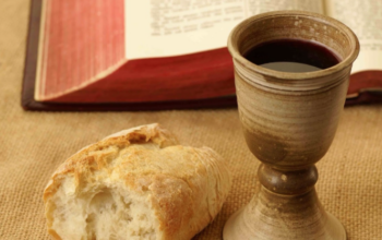 O vinho bíblico não tinha álcool? | Luiz Sayão