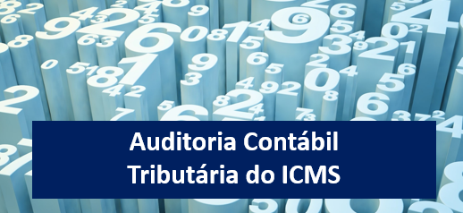 Treinamento em auditoria contábil tributária na SEFAZ Tocantins