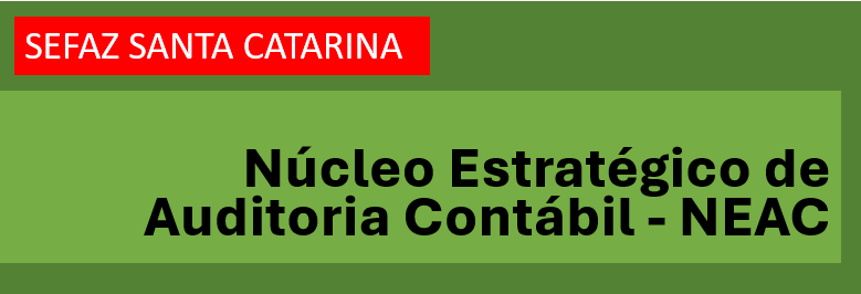 SEFAZ Santa Catarina cria Núcleo Estratégico de Auditoria Contábil